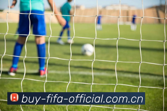FIFA官方数据授权认证